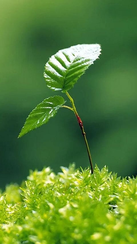 আৰ্থিক পৰামৰ্শৰ শ্ৰেষ্ঠ টুকুৰা