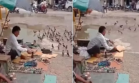 ভাইৰেল ভিডিঅ': ৰাস্তাৰ চুকত চৰাইক খুৱাই থকা মঠুৱা