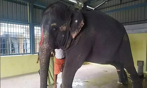 তামিলনাডুয়ে ৪-সদস্যৰ অসম দলক জয়মালাক চাবলৈ অনুমতি দিয়ে