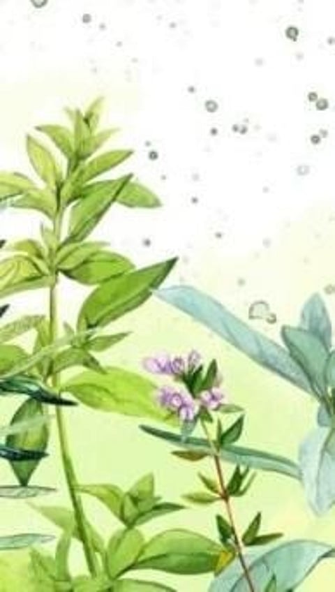 বনৌষধি: ৫বিধ অবিশ্বাস্য বনৌষধি