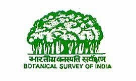 ভাৰতীয় উদ্ভিদ জৰীপ নিযুক্তি ২০২২ - জুনিয়ৰ ৰিচাৰ্ছ ফেল'ৰ পদখালী