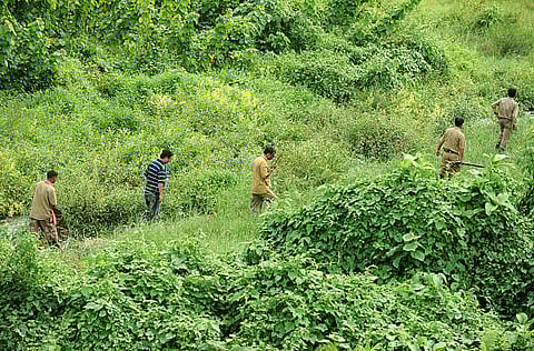 নগাঁও বন সংমণ্ডলে প্ৰায় ১৫লাখ মান টকা জৰিমনা সংগ্ৰহ কৰে
