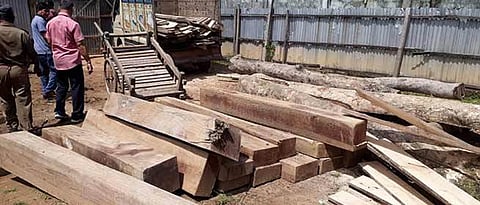 নগাঁও জিলাত তিনিটাকৈ কাঠৰে কটা মিল জব্দ