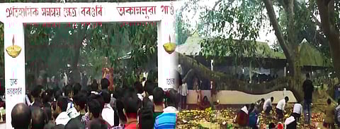 গোলাঘাটৰ এজোপা বিশেষ বৰগছ