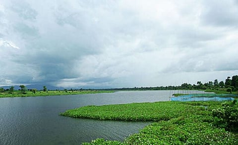 জৈৱ বৈচিত্ৰলৈ ভাবুকি:দ্বীপৰ বিলত দ্বৈত ৰেলৱে নিৰ্মাণৰ বিৰুদ্ধে প্ৰতিবাদ
