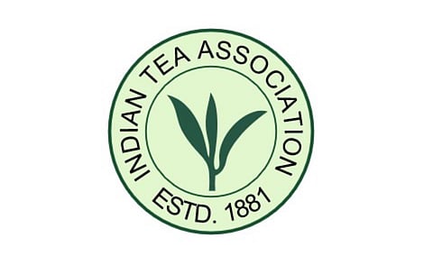 ভাৰতীয় চাহ নিগমে চাহ বাগিছা সম্প্ৰসাৰণ বন্ধ কৰিব বিচাৰিছে