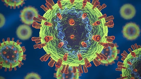 ক'ৰ'না ভাইৰাছৰ আতংকঃ স্পেনিষ্ট চাইক্লিষ্টক আশ্ৰয় নিদিলে অসমৰ হোটেলে