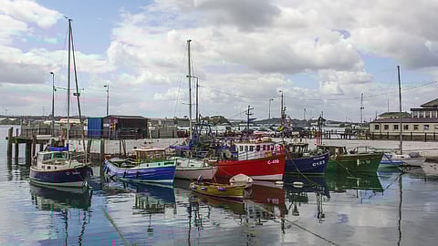 New Irish bill outlines establishment of marine accident investigation unit