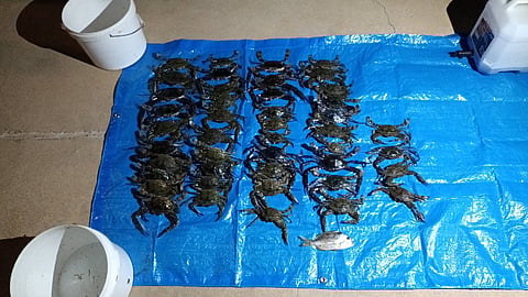 Mandurah court imposes over $9,000 in fines for illegal fishing in WA's Peel region