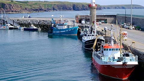 Fishing vessels at the Killybegs Fishery Harbour Centre