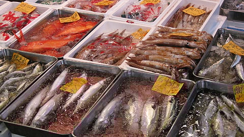 Seafood being sold at Tsukiji Fish Market in Chuo City, Tokyo (representative photo only)