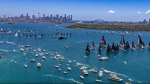 Yachts in Sydney Harbour