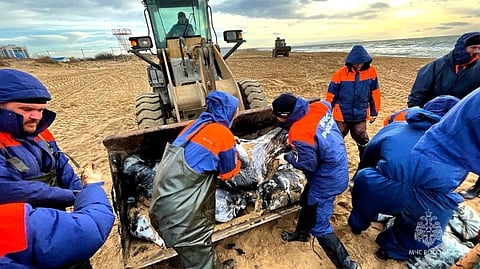 Volunteers helping to clean up Russia's Black Sea coastline following oil spill