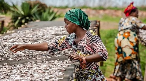 Small-scale fisheries