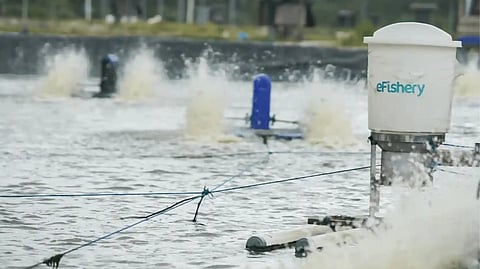 eFishery appoints FTI Consulting as manager amid alleged fraud probe