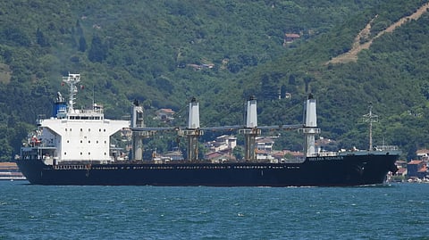 Documents show Russian company behind Egypt wheat cargo had history of selling "stolen" Ukraine grain