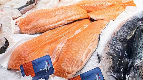 Norwegian salmon
