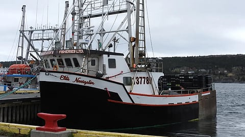 Canadian transport investigators publish report on loss of fishing vessel off Newfoundland
