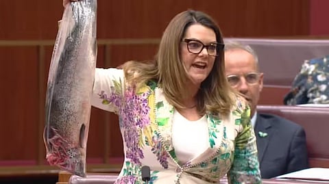 Extreme left Australian senator Sarah Hanson-Young seeks attention in parliament