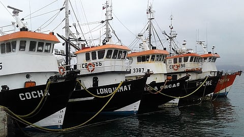 Industrial fishing boats of Coquimbo