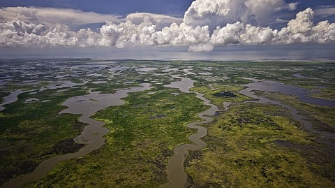 Louisiana Gulf coast wetlands