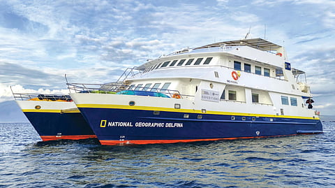 National Geographic Delphina Lindblad Expeditions