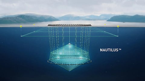 Deep-sea cod farming proposal