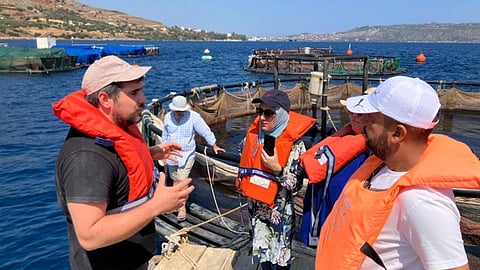 Mediterranean Marine Finfish Aquaculture Demonstration Centre