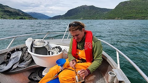 Testing of lice catchers in the Hardangerfjord