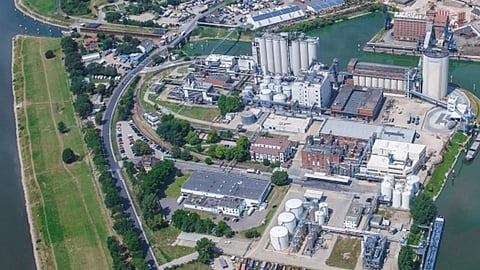 Mannheim rapeseed processing plant