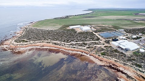 Clean Seas Seafood facilities, South Australia