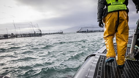 A salmon farm somewhere in Scotland