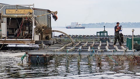 Aquaculture farm