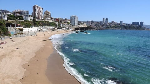 Playa Caleta Abarca beach in Chile