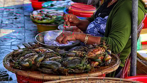 Crabs being sold at a wet market in Vietnam