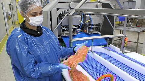 Salmon is one of Turkey's three leading products for export along with seabream and bass.