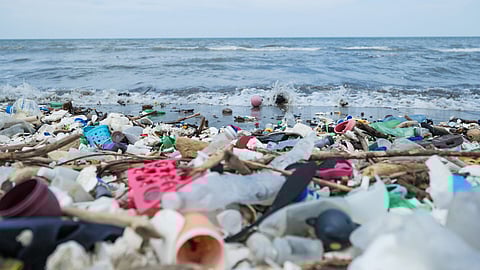 Waste plastic washed up on a beach in Honduras