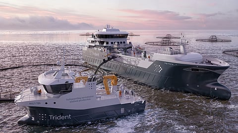 Rendering of the 27-metre workboat and the 3,000-cubic-metre live carrier