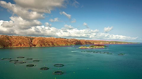 Cone Bay barramundi farm