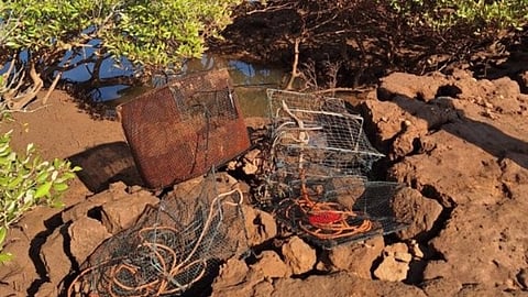 Illegal fishing traps in a Pilbara creek