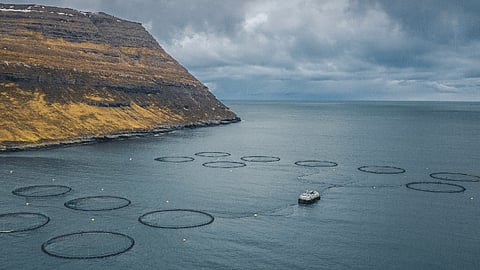 Salmon farm