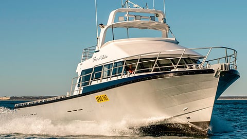 Force of Nature, a lobster fishing boat built by Dongara Marine