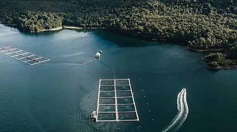 A Pesquera Yadran-operated fish farm