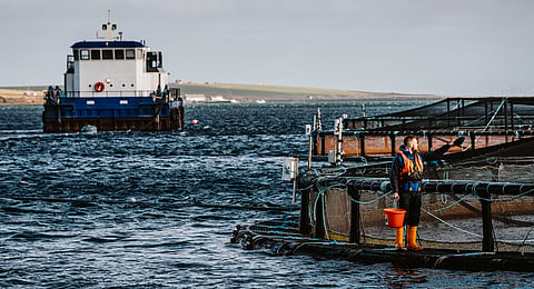 A Scottish Sea Farms pen