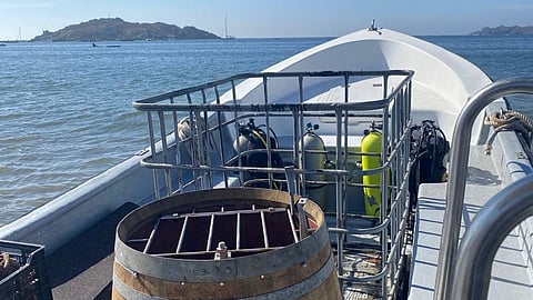 Divers stock bottles of wine as part of a new underwater storage program