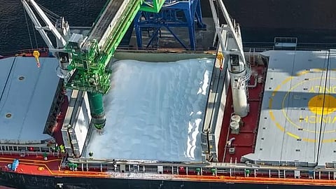 Transport of fertiliser by sea