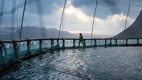 Aquaculture pen