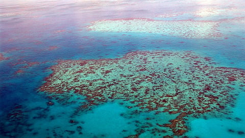 Great Barrier Reef, Australia