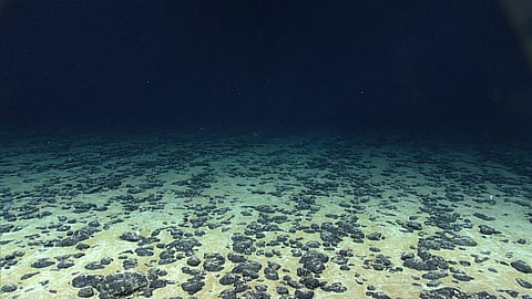 Ocean floor rocks
