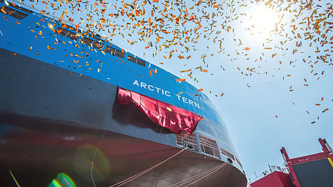 Arctic Tern's delivery ceremony